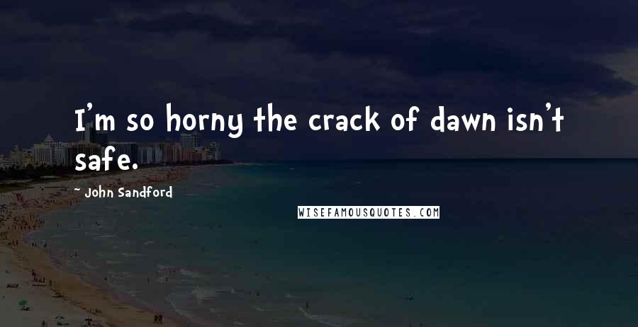 John Sandford Quotes: I'm so horny the crack of dawn isn't safe.