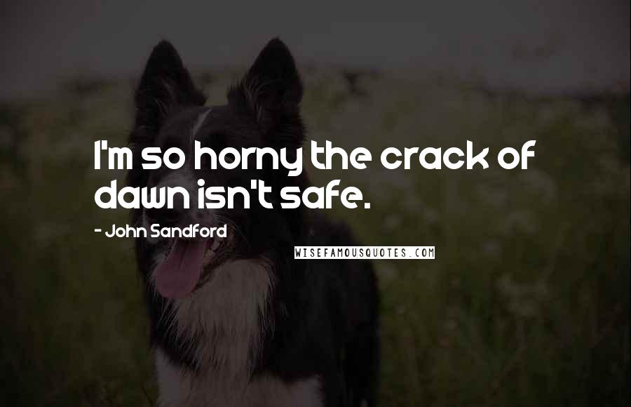 John Sandford Quotes: I'm so horny the crack of dawn isn't safe.