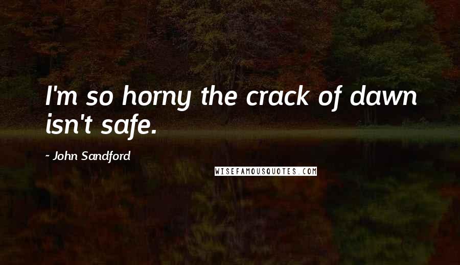 John Sandford Quotes: I'm so horny the crack of dawn isn't safe.