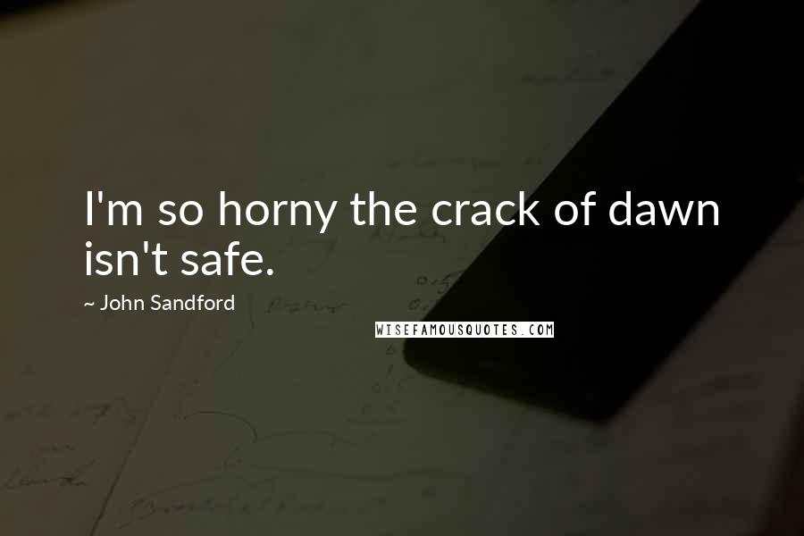 John Sandford Quotes: I'm so horny the crack of dawn isn't safe.