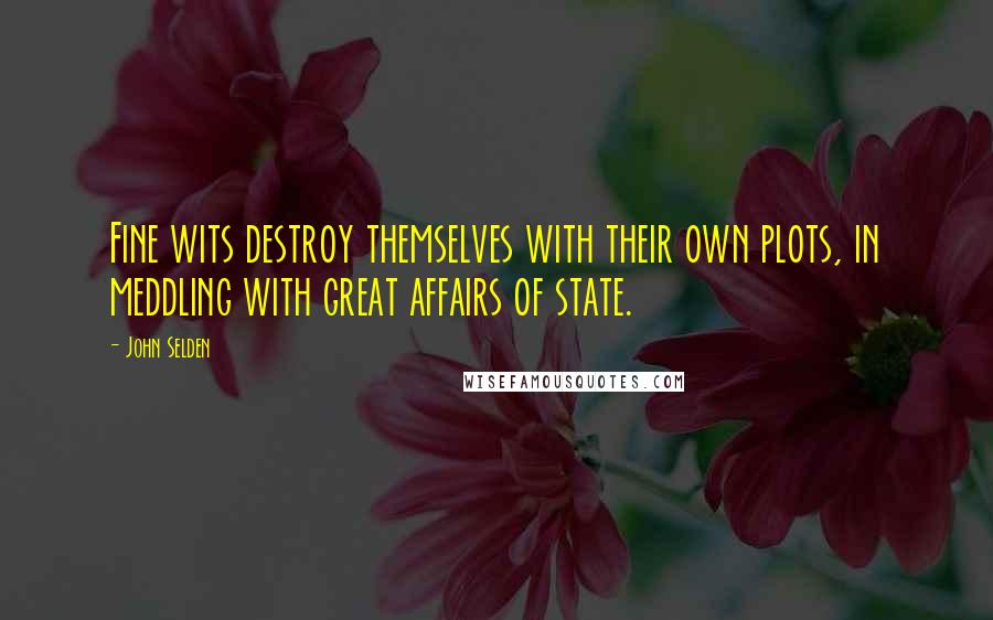 John Selden Quotes: Fine wits destroy themselves with their own plots, in meddling with great affairs of state.