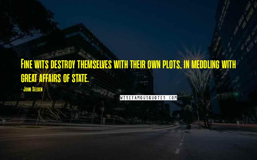 John Selden Quotes: Fine wits destroy themselves with their own plots, in meddling with great affairs of state.