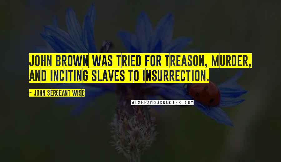 John Sergeant Wise Quotes: John Brown was tried for treason, murder, and inciting slaves to insurrection.