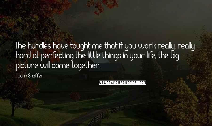 John Shaffer Quotes: The hurdles have taught me that if you work really, really hard at perfecting the little things in your life, the big picture will come together.