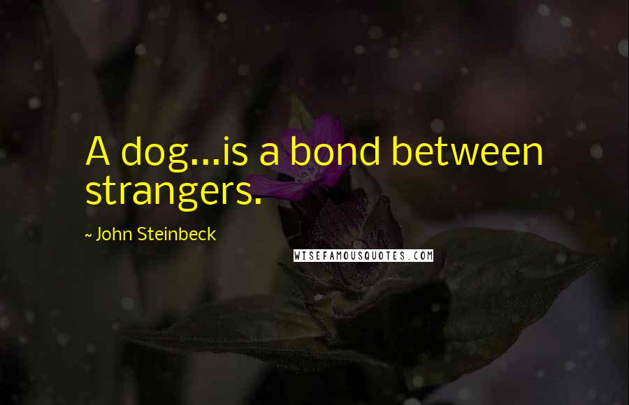 John Steinbeck Quotes: A dog...is a bond between strangers.
