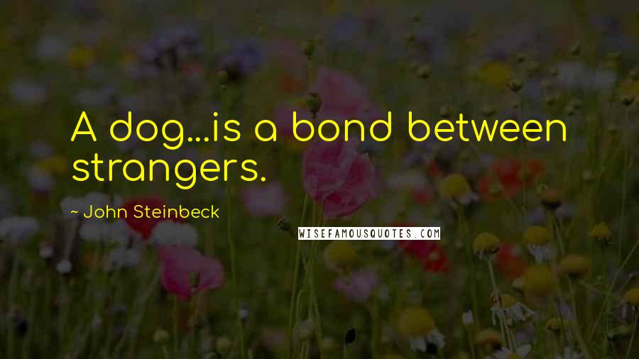 John Steinbeck Quotes: A dog...is a bond between strangers.