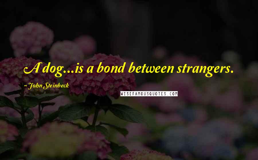 John Steinbeck Quotes: A dog...is a bond between strangers.