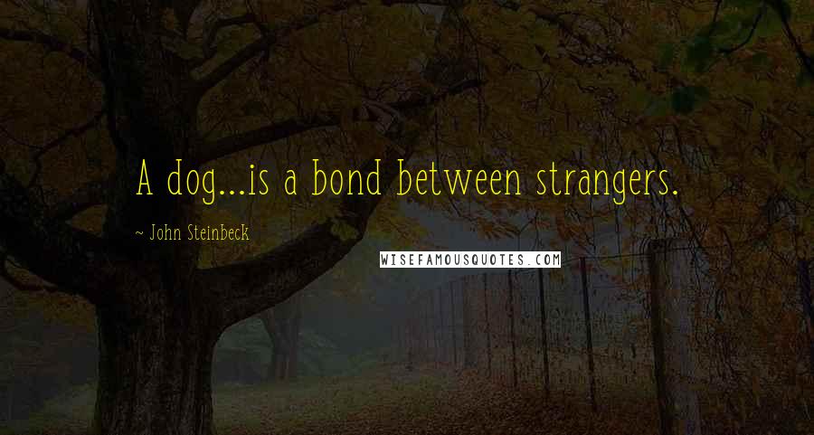 John Steinbeck Quotes: A dog...is a bond between strangers.