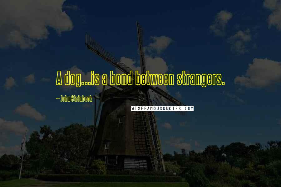 John Steinbeck Quotes: A dog...is a bond between strangers.