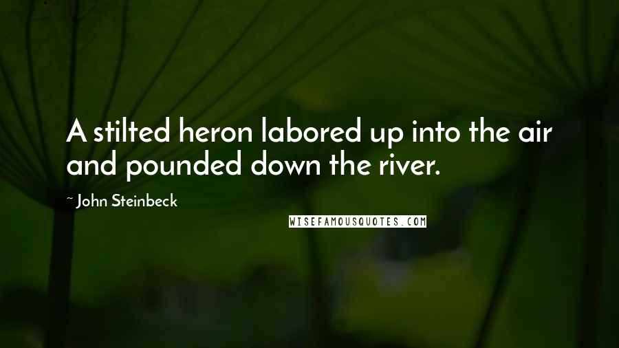 John Steinbeck Quotes: A stilted heron labored up into the air and pounded down the river.