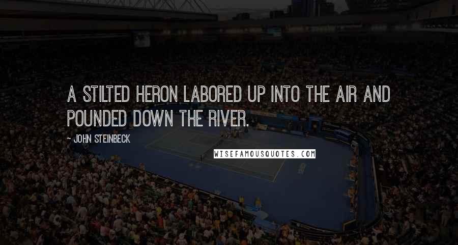 John Steinbeck Quotes: A stilted heron labored up into the air and pounded down the river.