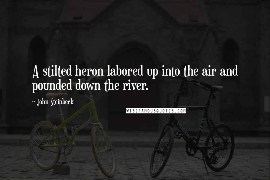 John Steinbeck Quotes: A stilted heron labored up into the air and pounded down the river.