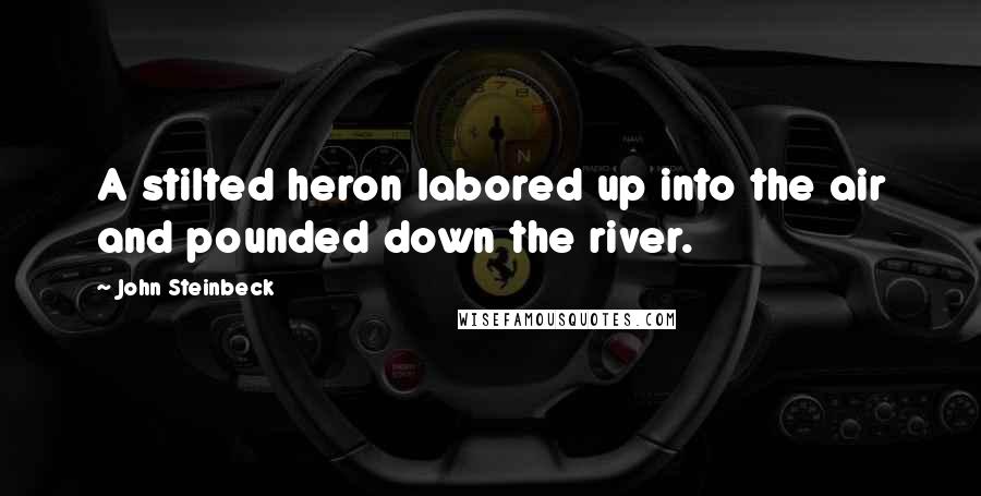 John Steinbeck Quotes: A stilted heron labored up into the air and pounded down the river.