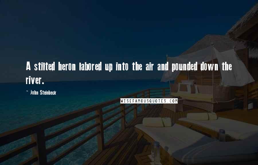 John Steinbeck Quotes: A stilted heron labored up into the air and pounded down the river.
