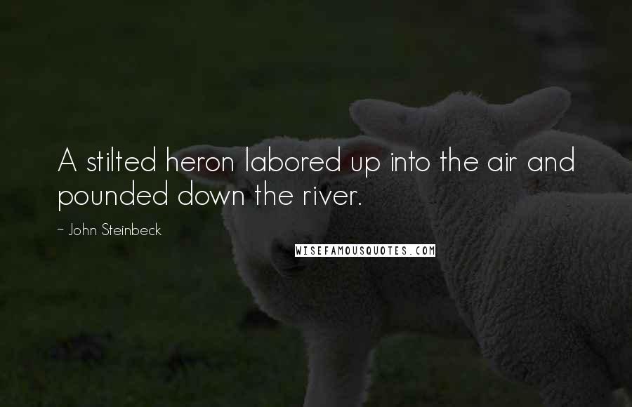 John Steinbeck Quotes: A stilted heron labored up into the air and pounded down the river.
