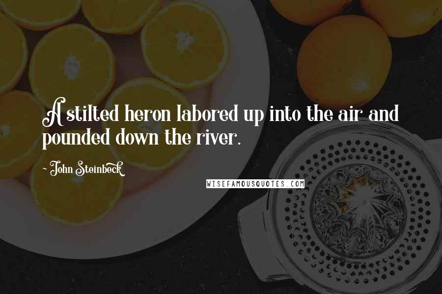 John Steinbeck Quotes: A stilted heron labored up into the air and pounded down the river.