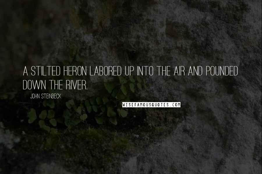 John Steinbeck Quotes: A stilted heron labored up into the air and pounded down the river.