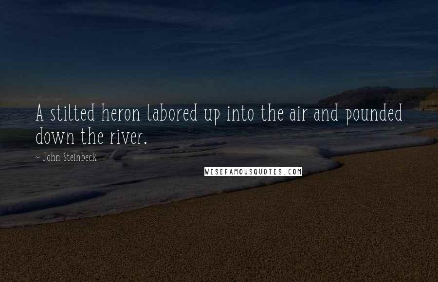 John Steinbeck Quotes: A stilted heron labored up into the air and pounded down the river.
