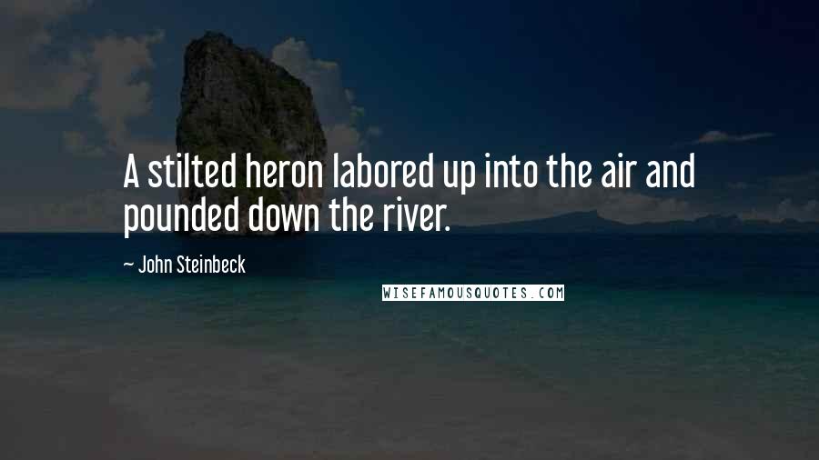 John Steinbeck Quotes: A stilted heron labored up into the air and pounded down the river.