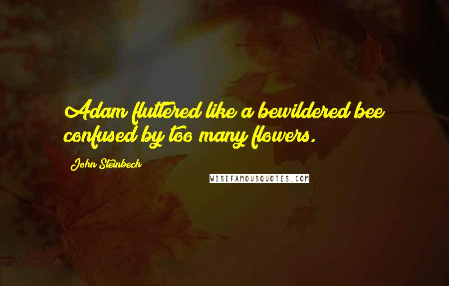 John Steinbeck Quotes: Adam fluttered like a bewildered bee confused by too many flowers.