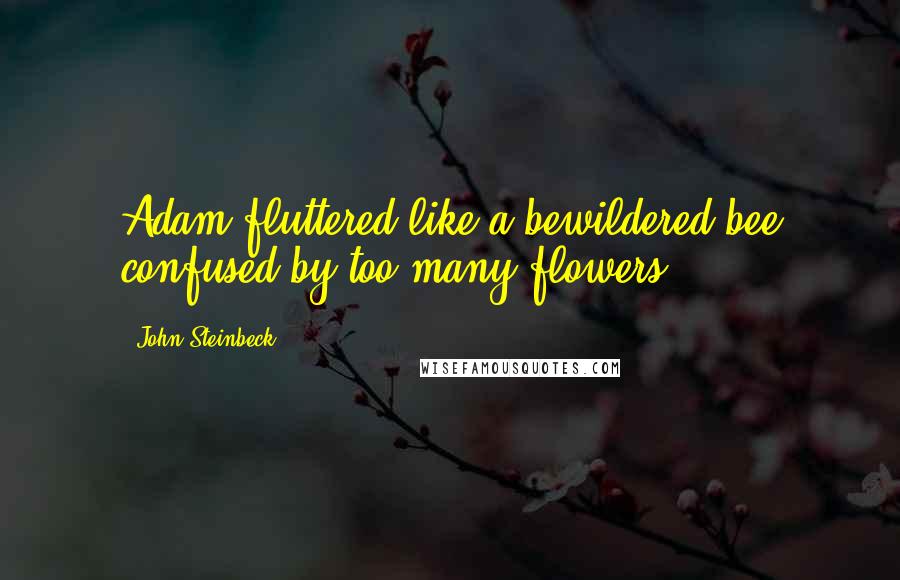 John Steinbeck Quotes: Adam fluttered like a bewildered bee confused by too many flowers.