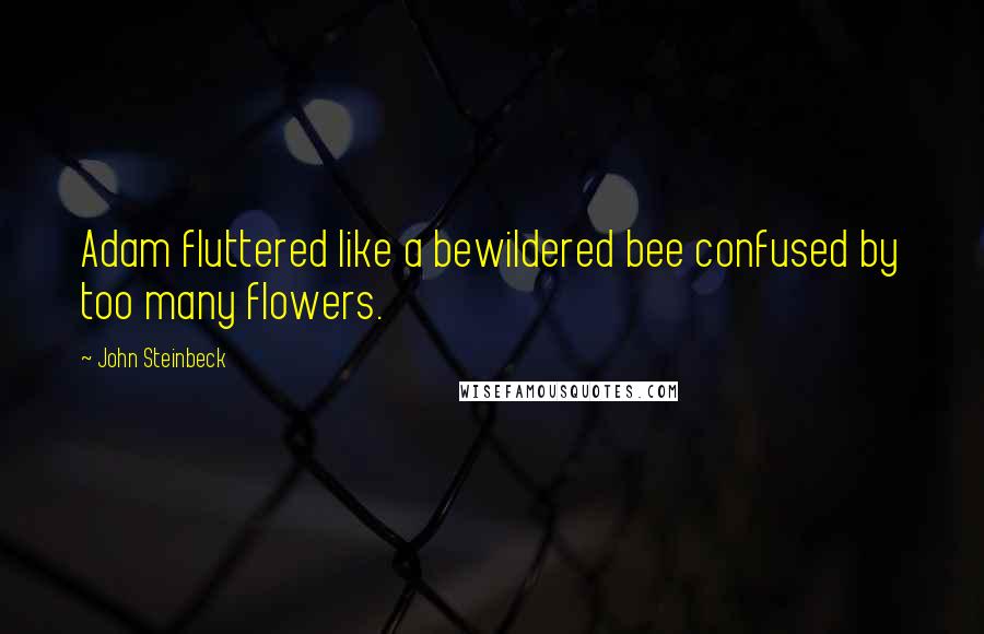John Steinbeck Quotes: Adam fluttered like a bewildered bee confused by too many flowers.