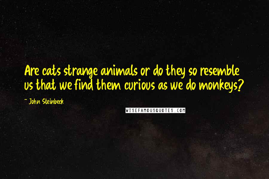 John Steinbeck Quotes: Are cats strange animals or do they so resemble us that we find them curious as we do monkeys?