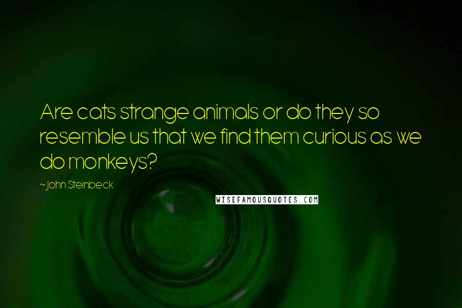 John Steinbeck Quotes: Are cats strange animals or do they so resemble us that we find them curious as we do monkeys?