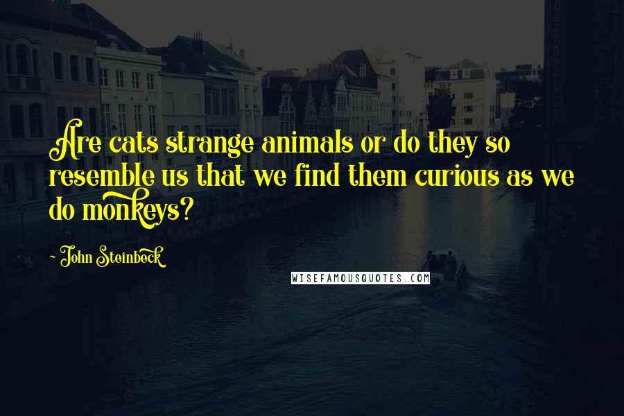 John Steinbeck Quotes: Are cats strange animals or do they so resemble us that we find them curious as we do monkeys?