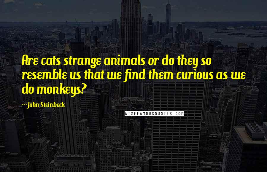 John Steinbeck Quotes: Are cats strange animals or do they so resemble us that we find them curious as we do monkeys?