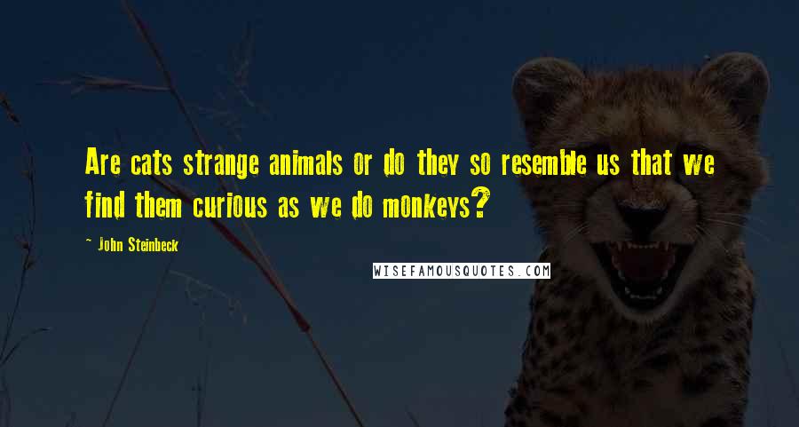 John Steinbeck Quotes: Are cats strange animals or do they so resemble us that we find them curious as we do monkeys?