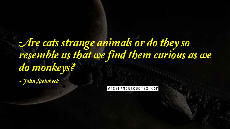 John Steinbeck Quotes: Are cats strange animals or do they so resemble us that we find them curious as we do monkeys?