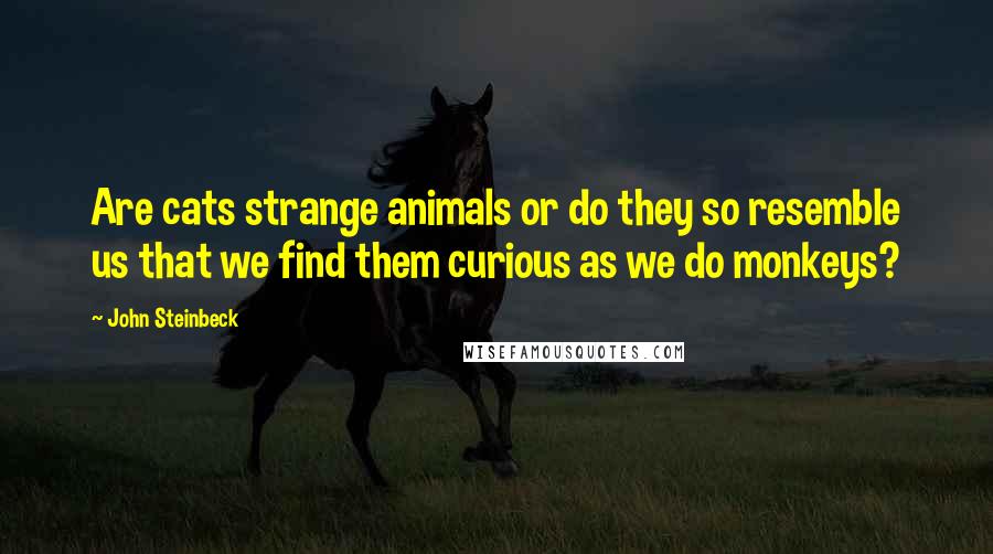 John Steinbeck Quotes: Are cats strange animals or do they so resemble us that we find them curious as we do monkeys?