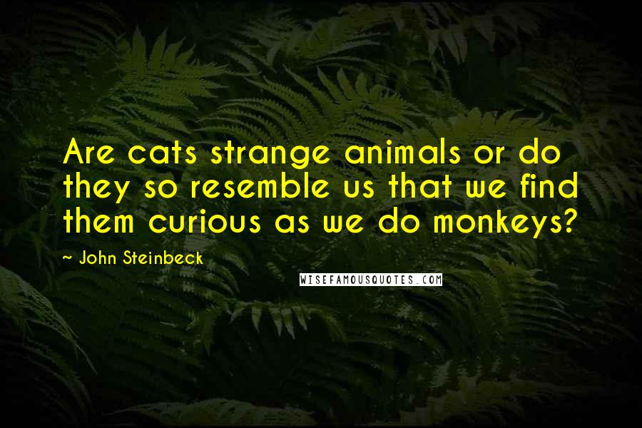 John Steinbeck Quotes: Are cats strange animals or do they so resemble us that we find them curious as we do monkeys?