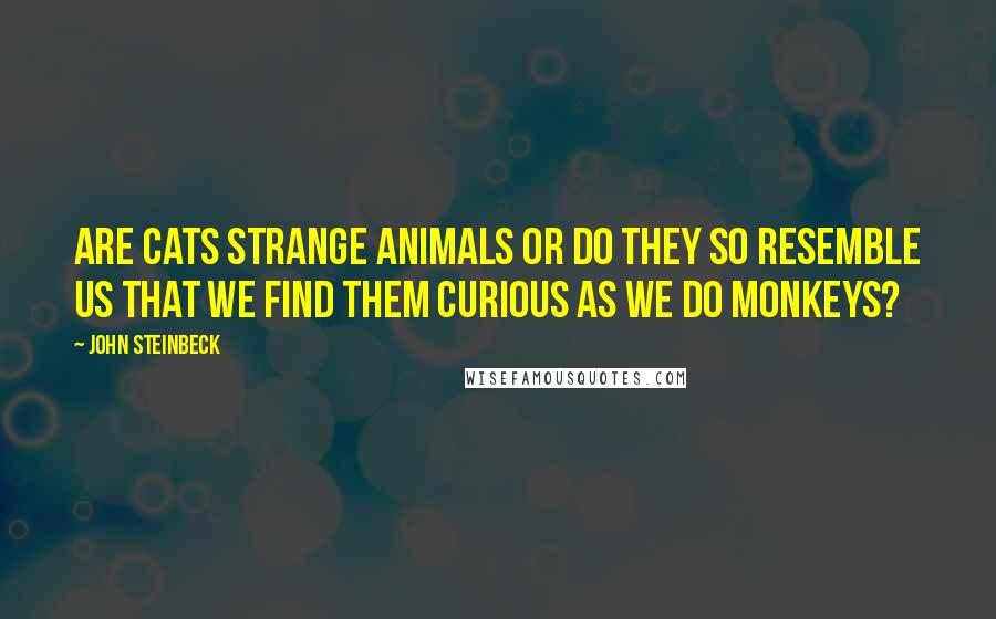 John Steinbeck Quotes: Are cats strange animals or do they so resemble us that we find them curious as we do monkeys?