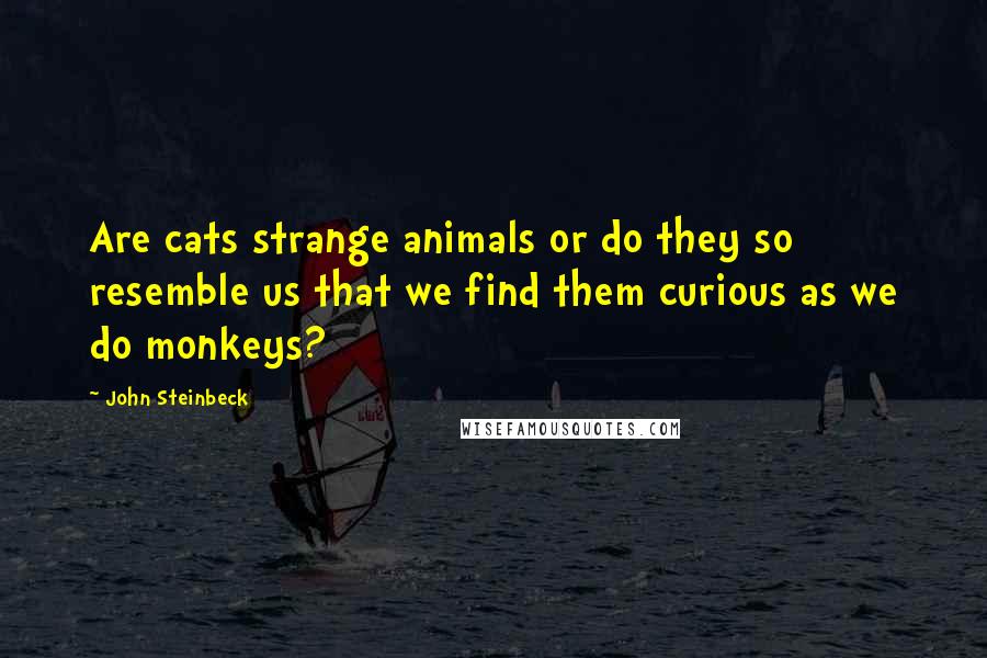 John Steinbeck Quotes: Are cats strange animals or do they so resemble us that we find them curious as we do monkeys?