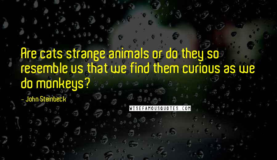 John Steinbeck Quotes: Are cats strange animals or do they so resemble us that we find them curious as we do monkeys?