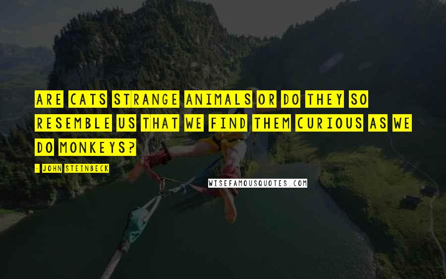 John Steinbeck Quotes: Are cats strange animals or do they so resemble us that we find them curious as we do monkeys?