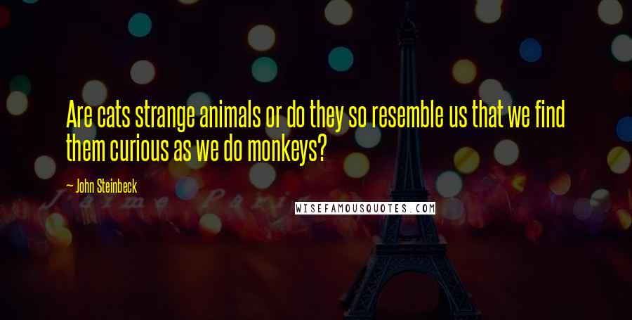 John Steinbeck Quotes: Are cats strange animals or do they so resemble us that we find them curious as we do monkeys?