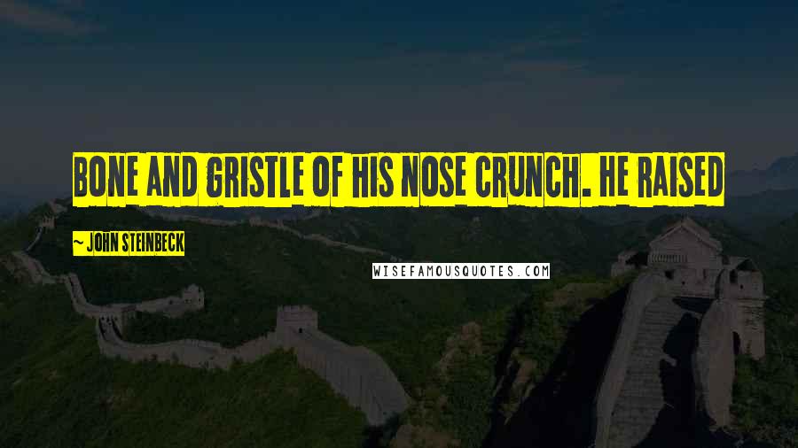 John Steinbeck Quotes: Bone and gristle of his nose crunch. He raised