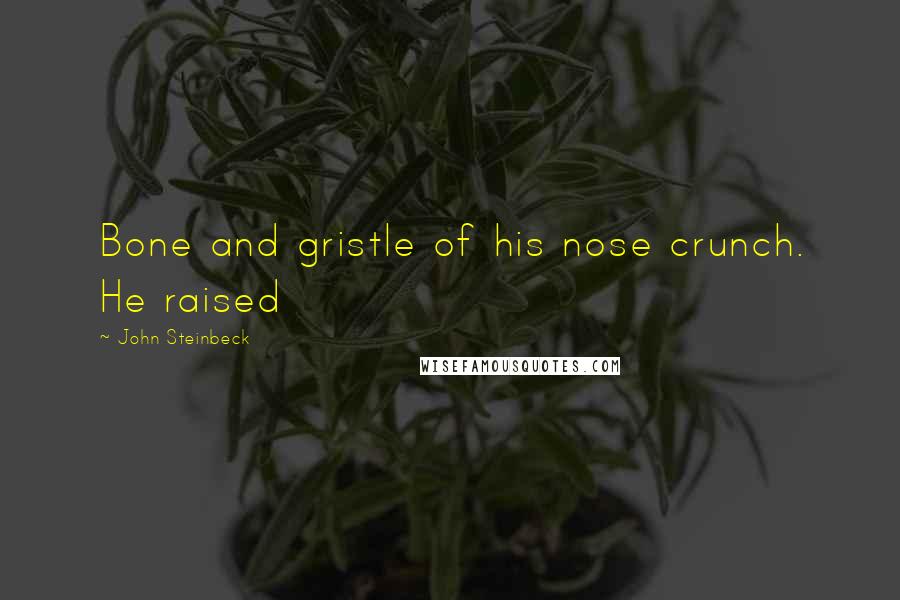 John Steinbeck Quotes: Bone and gristle of his nose crunch. He raised