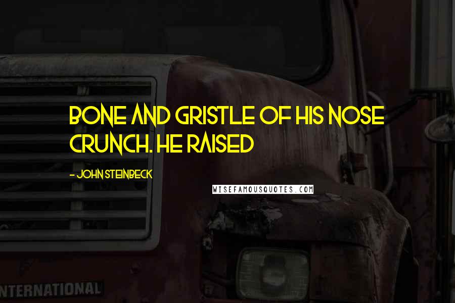 John Steinbeck Quotes: Bone and gristle of his nose crunch. He raised