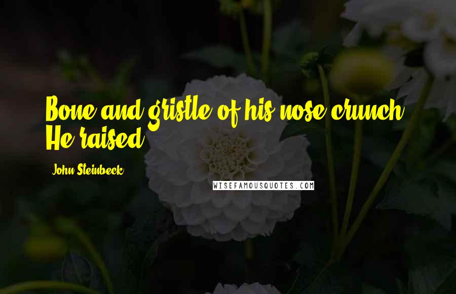 John Steinbeck Quotes: Bone and gristle of his nose crunch. He raised