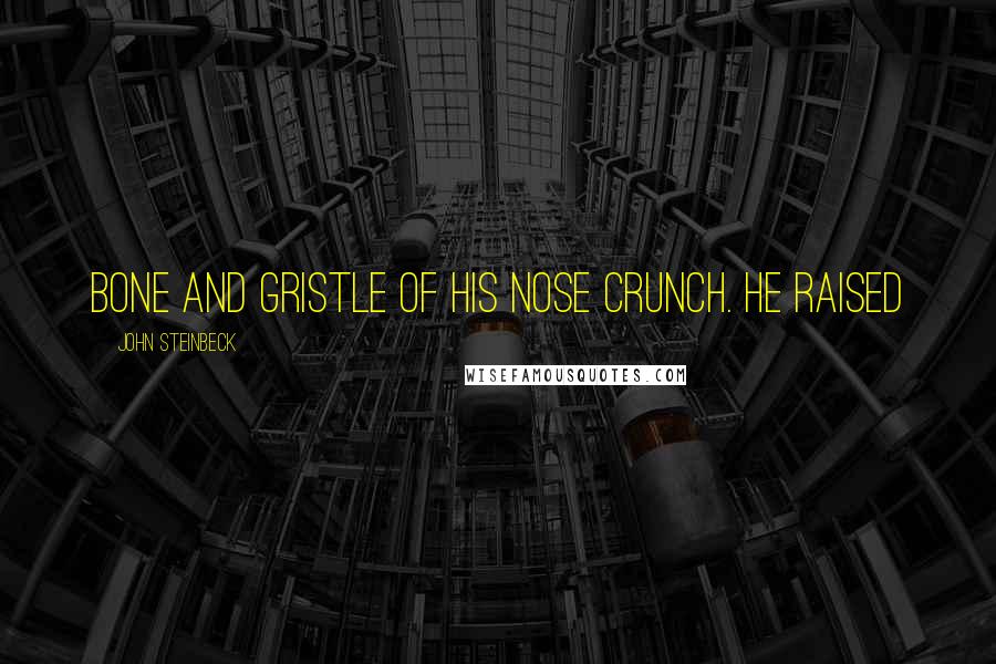 John Steinbeck Quotes: Bone and gristle of his nose crunch. He raised