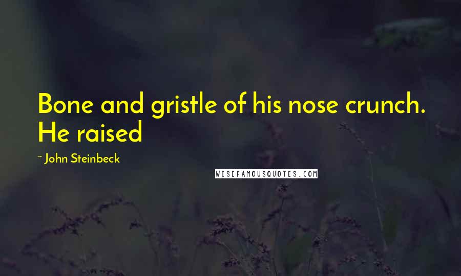 John Steinbeck Quotes: Bone and gristle of his nose crunch. He raised