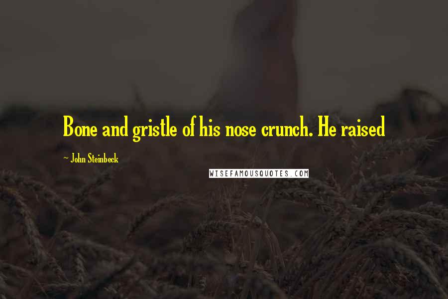 John Steinbeck Quotes: Bone and gristle of his nose crunch. He raised
