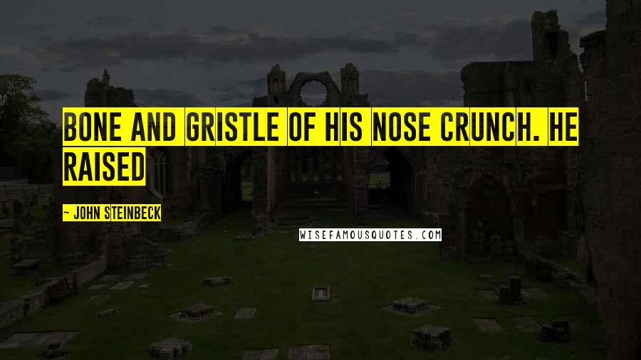 John Steinbeck Quotes: Bone and gristle of his nose crunch. He raised
