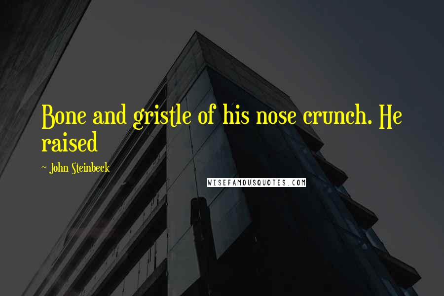 John Steinbeck Quotes: Bone and gristle of his nose crunch. He raised