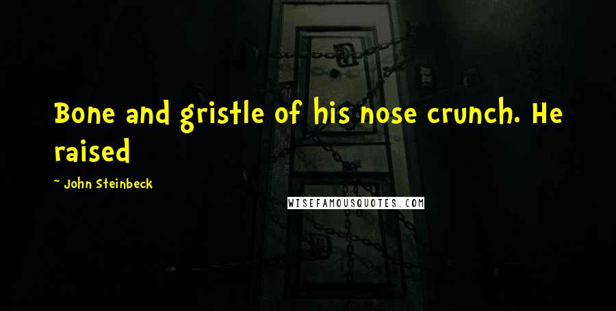 John Steinbeck Quotes: Bone and gristle of his nose crunch. He raised