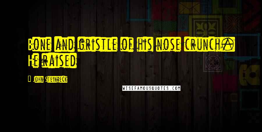 John Steinbeck Quotes: Bone and gristle of his nose crunch. He raised